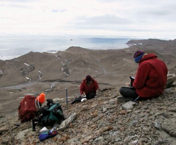 fossil collecting seymour island antarctica