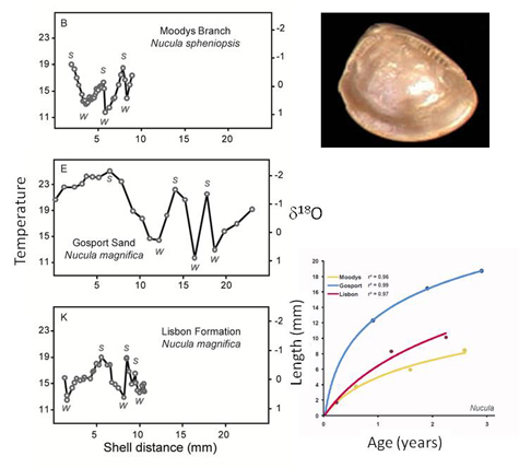 micromilled isotope data bivalve